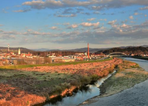 Żywiec dla Aktywnych