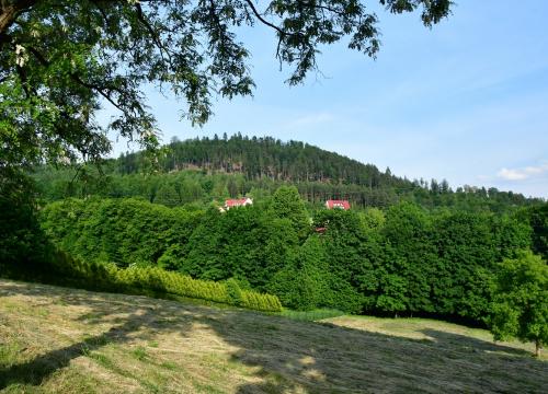 Miejski Szlak Spacerowy na Łyskę