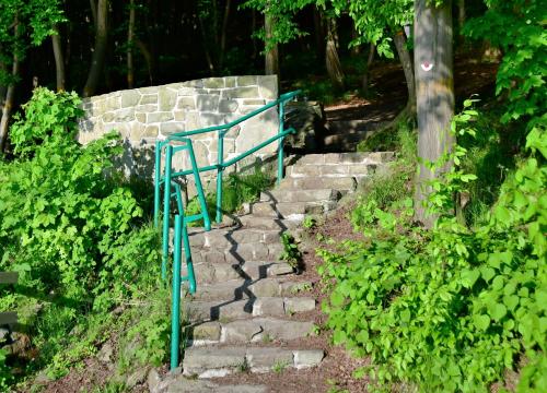 Żywiec dla Aktywnych