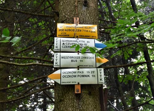 Miejski szlak spacerowy na Jaworzynę 