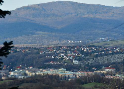 Szlak PTTK na Grojec