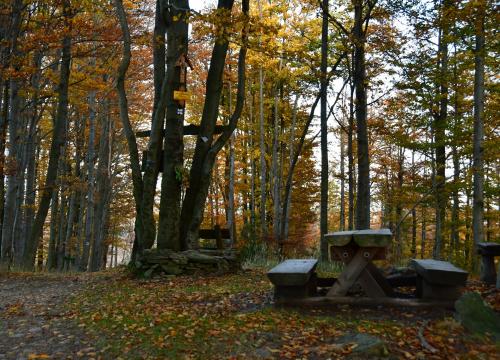 Miejski szlak spacerowy na Jaworzynę 