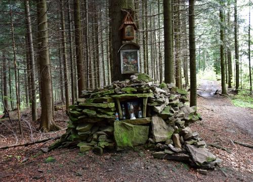 Miejski Szlak Spacerowy na Łyskę