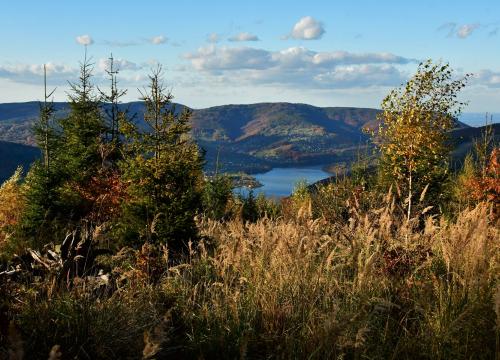 Miejski szlak spacerowy na Jaworzynę 